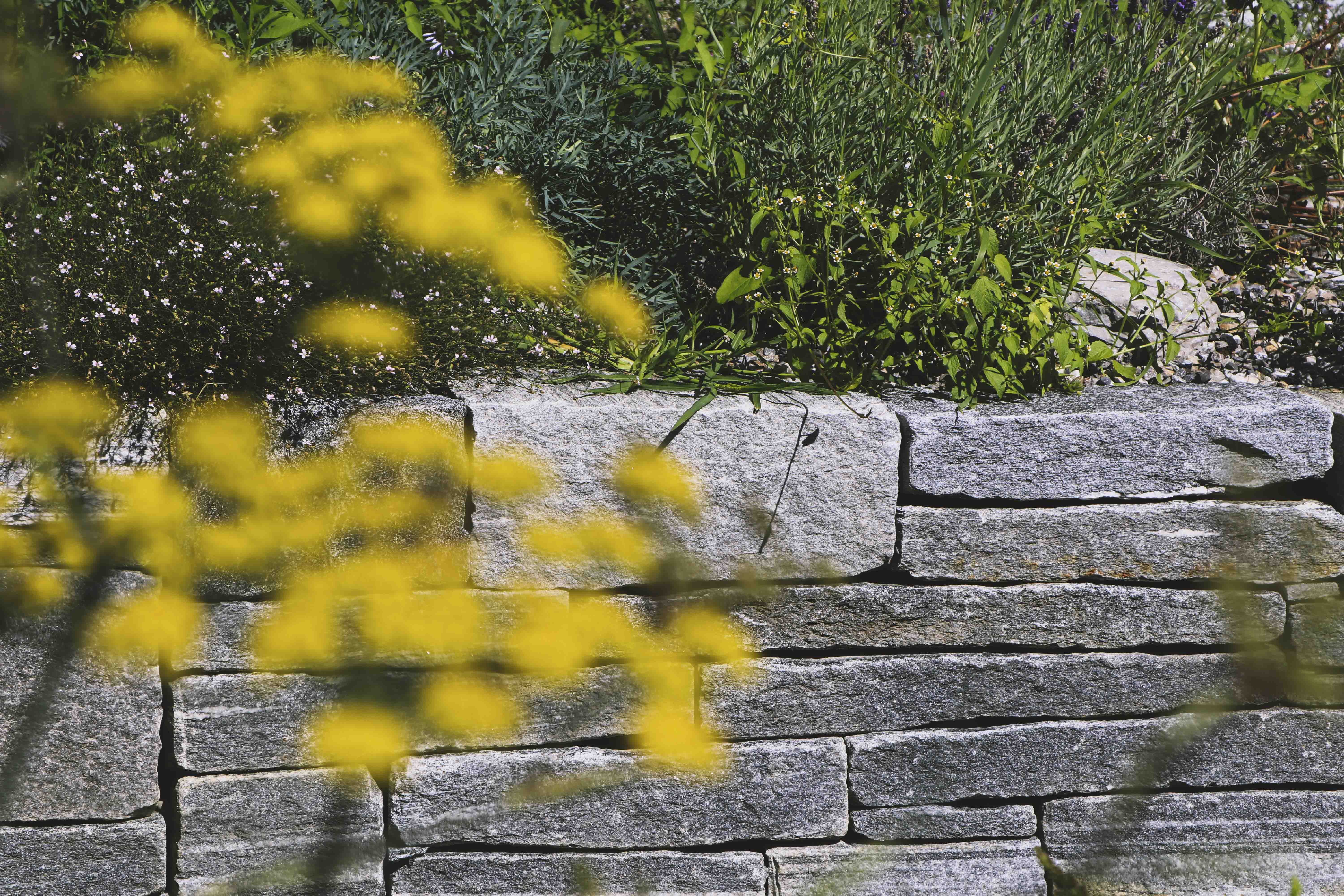 Gartengestaltung-Gartenplanung-Gartenvisualisierung-Gartenbau- Garten-Umgestaltung-Gartenpflege mit Meyer Gärten