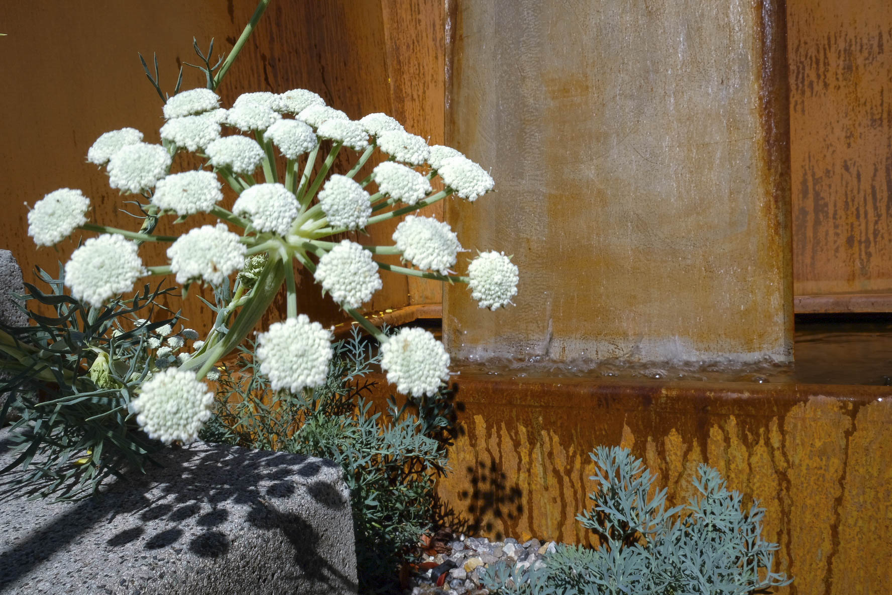 Gartengestaltung-Gartenplanung-Gartenvisualisierung-Gartenbau- Garten-Umgestaltung-Gartenpflege mit Meyer Gärten